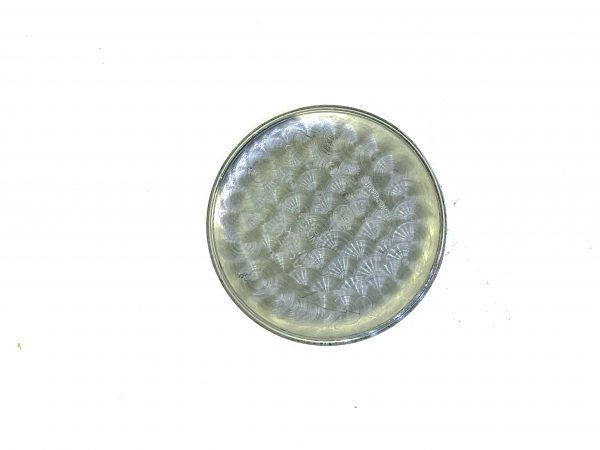 C68CE646-2D95-441E-9E9D-B57D5BCCDEA6