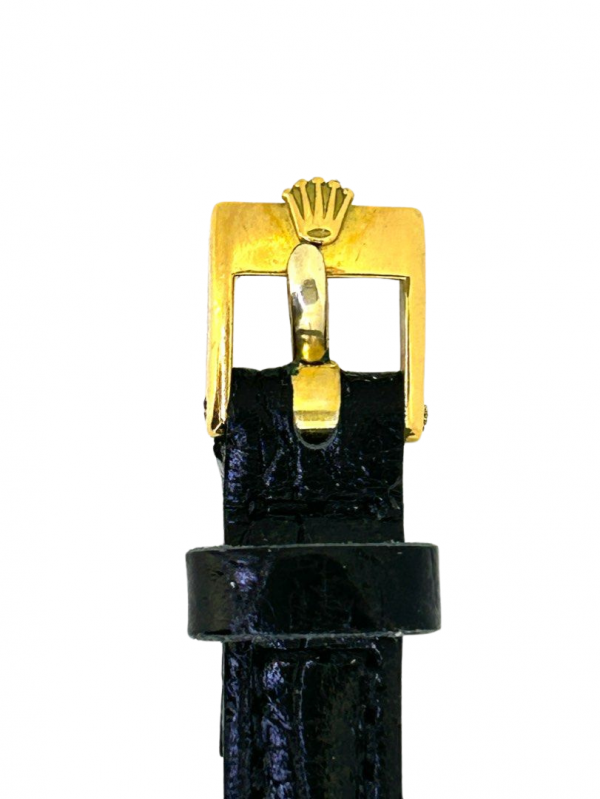 5C4129BA-DD05-40B1-8A54-B60BA66B3140